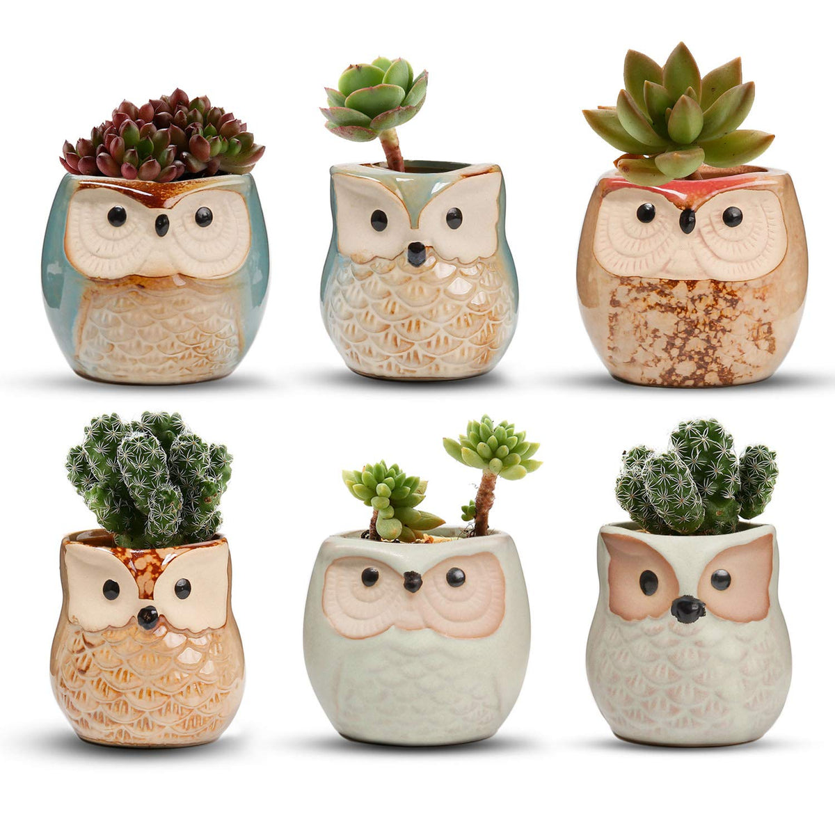 T4U owl ceramic succulent planter with drainage holes for small plants.