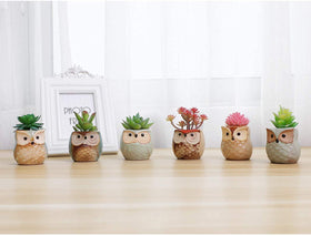 T4U owl planter set is perfect for desks and windowsills.