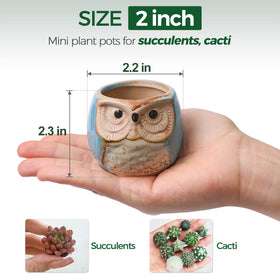 T4U owl planter with glazed ceramic finish adds durable home decor.