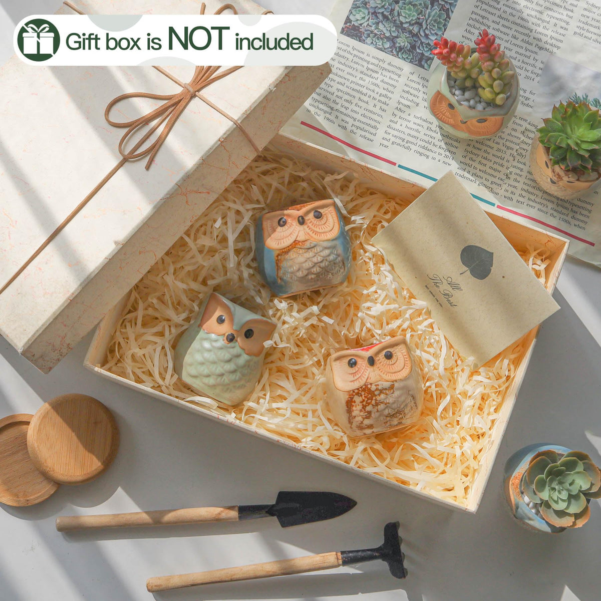 T4U owl planter for succulents, cacti, herbs and tiny ferns.