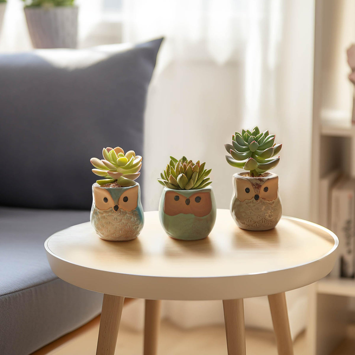 T4U mini cactus shown in owl planters for compact decor.