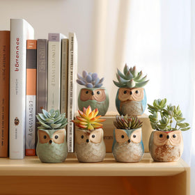 T4U owl planter on office shelf brightens spaces and inspires greenery.