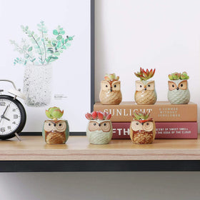 T4U owl pattern planter adds cute charm to any room.