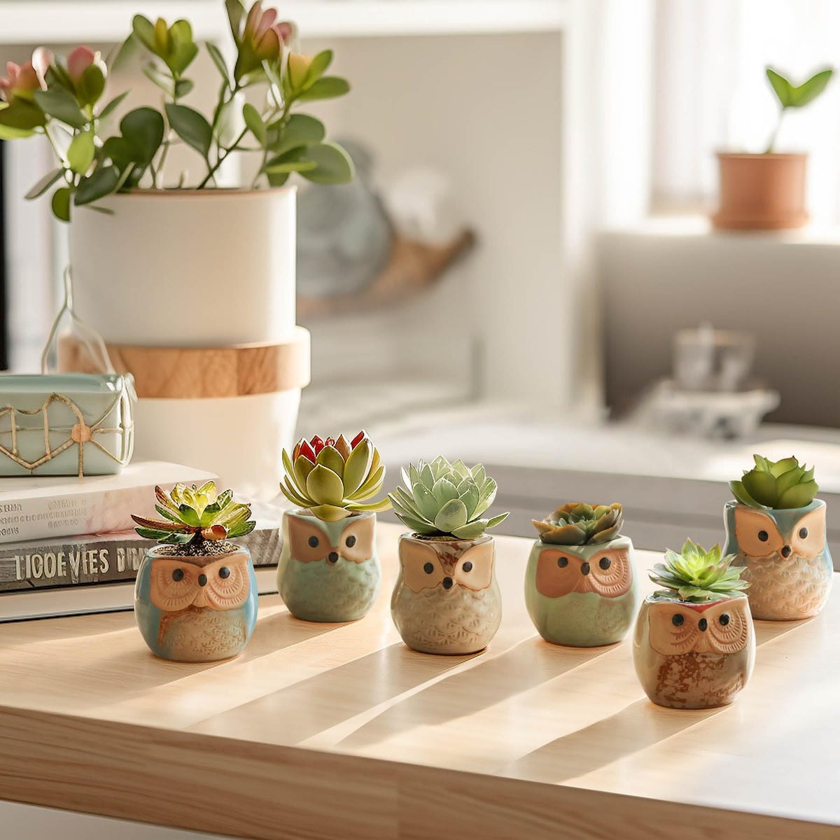 T4U owl planter on a windowsill adding fresh charm.