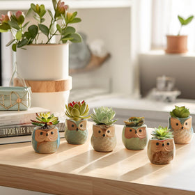 T4U owl planter on a windowsill adding fresh charm.