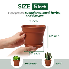T4U plastic pot with drainage holes for healthier root growth.