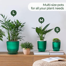 T4U 4.8-inch pots fit compact spaces like desks and shelves.
