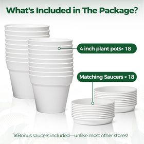 T4U pot with succulents display highlighting compact, stylish gardening.