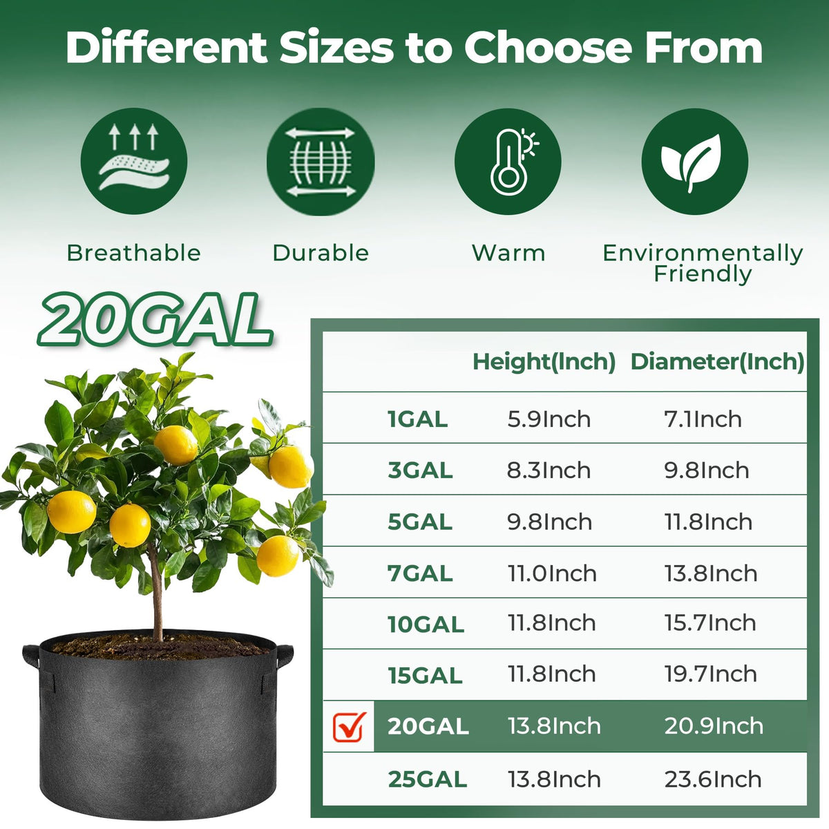 T4U potato planter 20gal supports expanding roots and drainage.