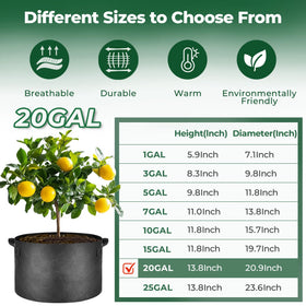 T4U potato planter 20gal supports expanding roots and drainage.