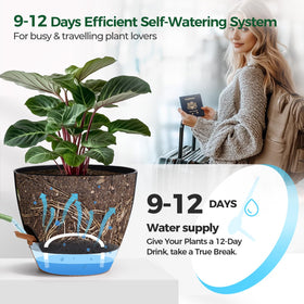T4U clear reservoir view helps prevent overwatering by showing levels.