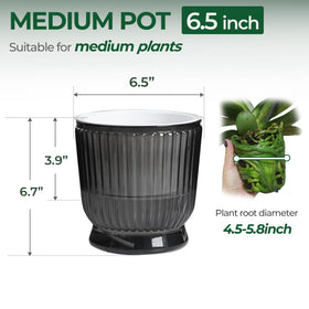 T4U reservoir-based planter aids easy watering for busy plant lovers.