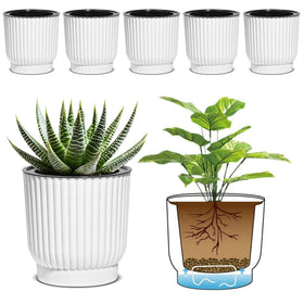 T4U self-watering 4in pot with water reservoir for steady soil moisture.