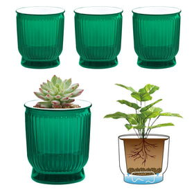 T4U self-watering pot in translucent green keeps African violets evenly hydrated.
