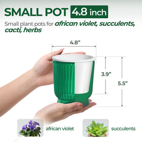 T4U self-watering pot with reservoir supports busy gardeners by reducing daily checks.