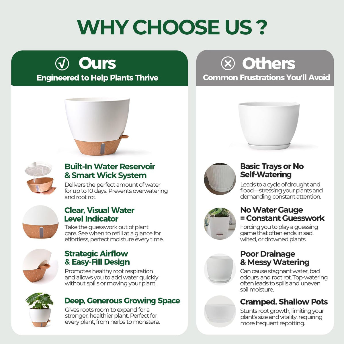 T4U 10-inch fiddle leaf fig pot demonstrates scalable care for larger plants.