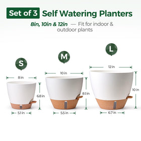 T4U 10-inch front view self-watering pot for versatile indoor plants at home.