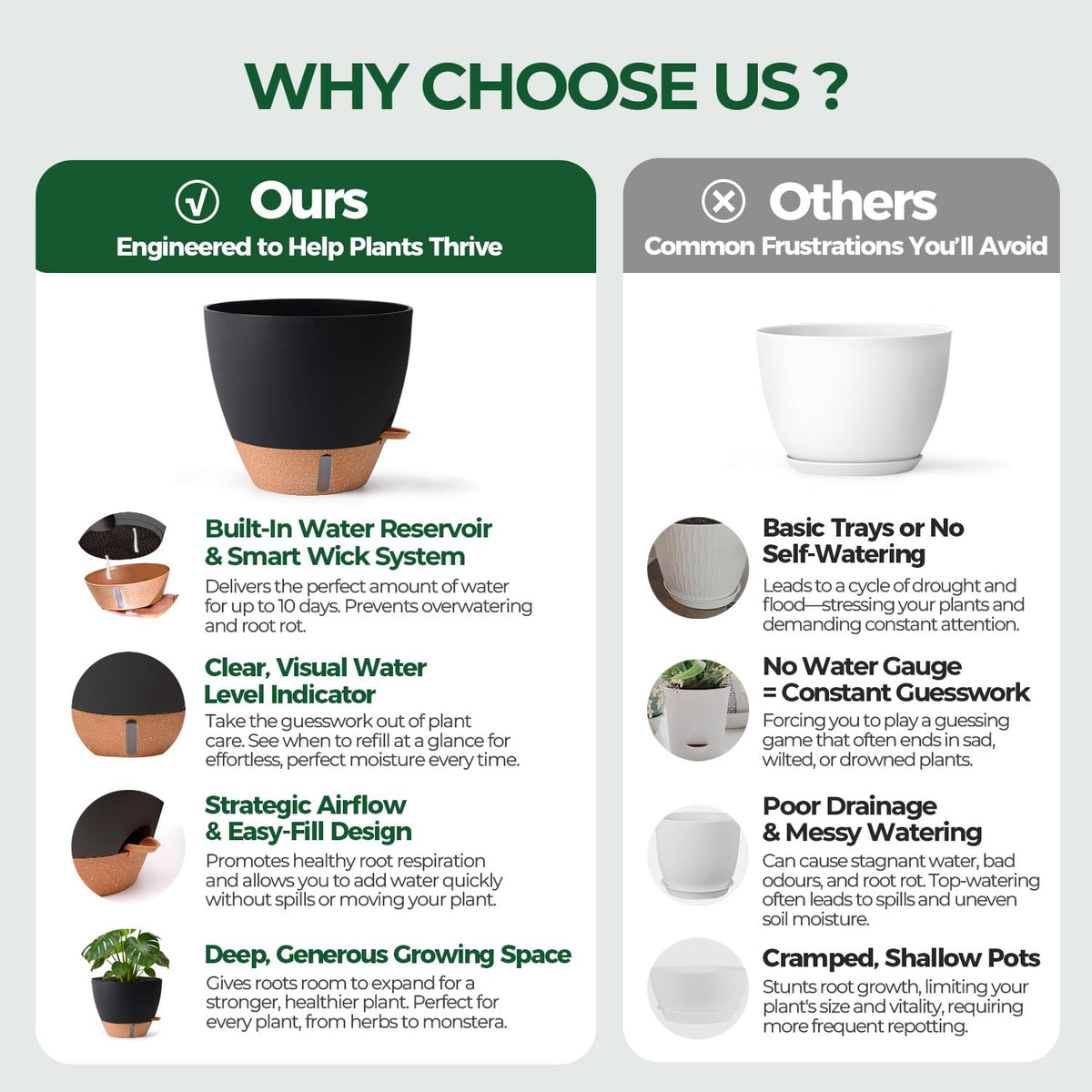 T4U self-watering pots 10-inch, perfect for fiddle leaf fig.