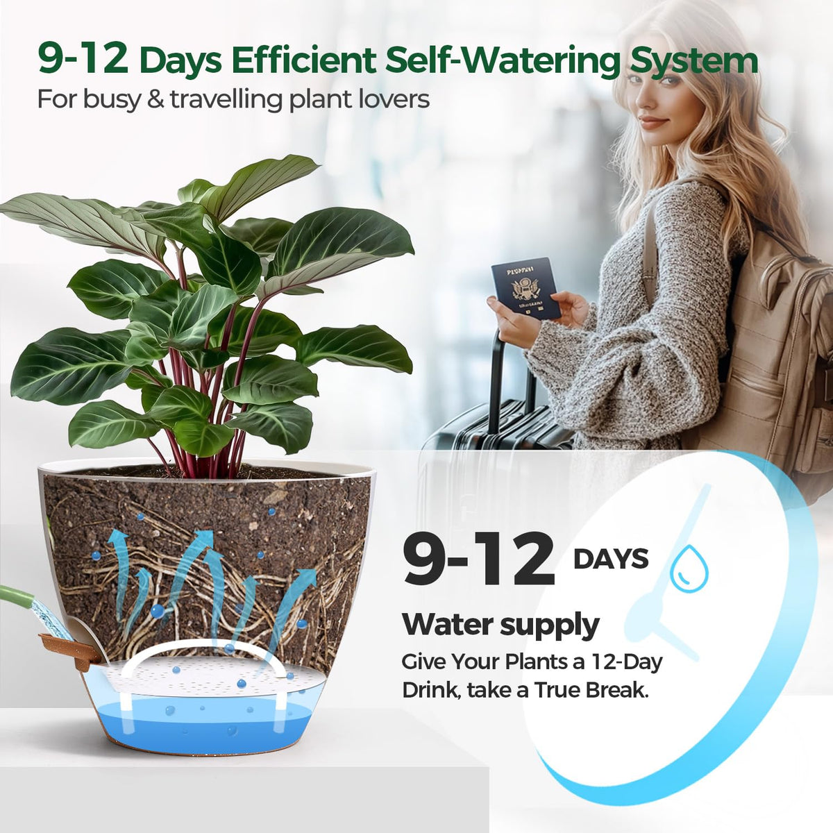 T4U 12-inch front-view self-watering pot for large greenery like Monstera or rubber plant.