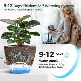 T4U 12-inch monstera pot emphasizes roomy reservoir for thirsty climbers.