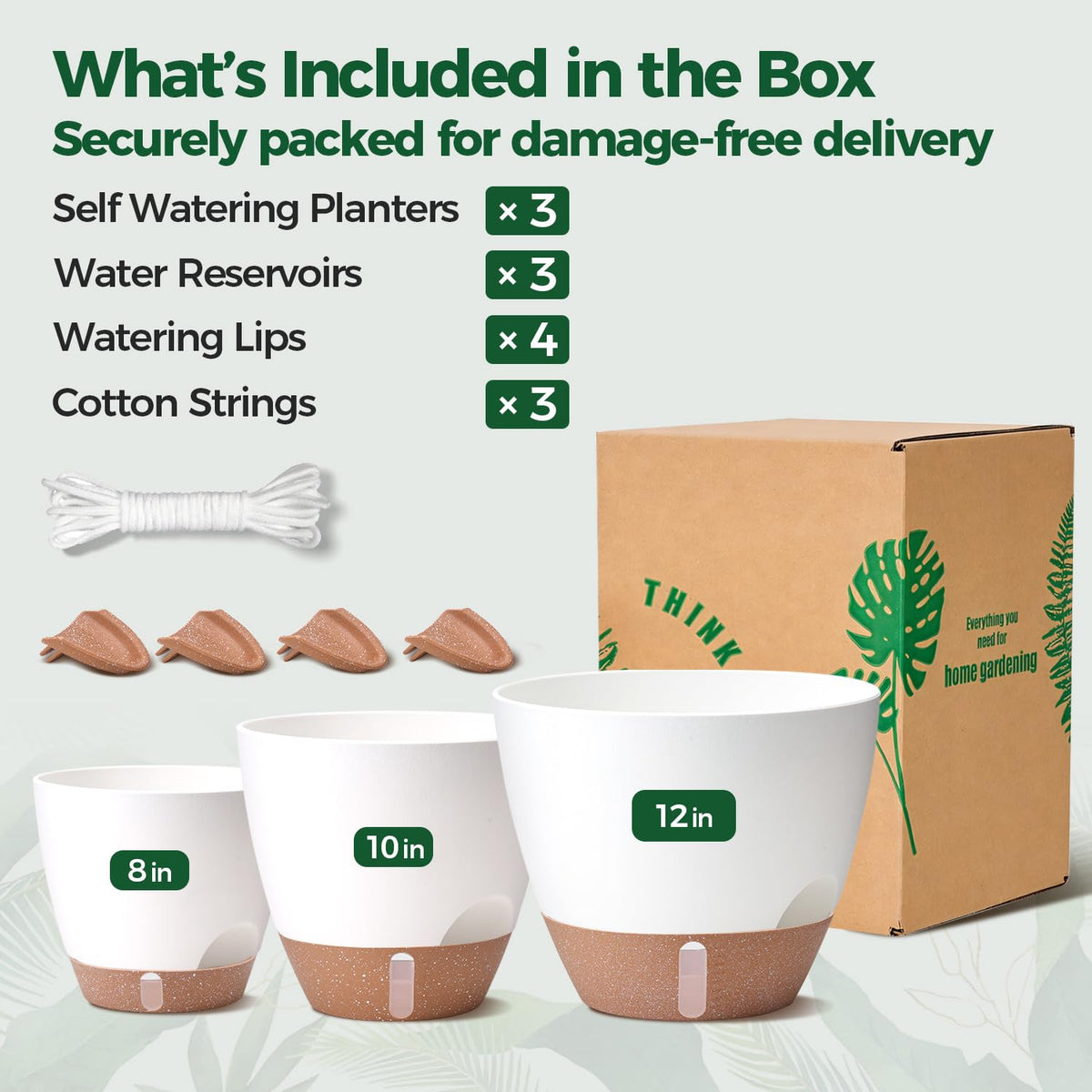 T4U 12-inch setup with Monstera in self-watering pot, tidy and stylish home indoor.