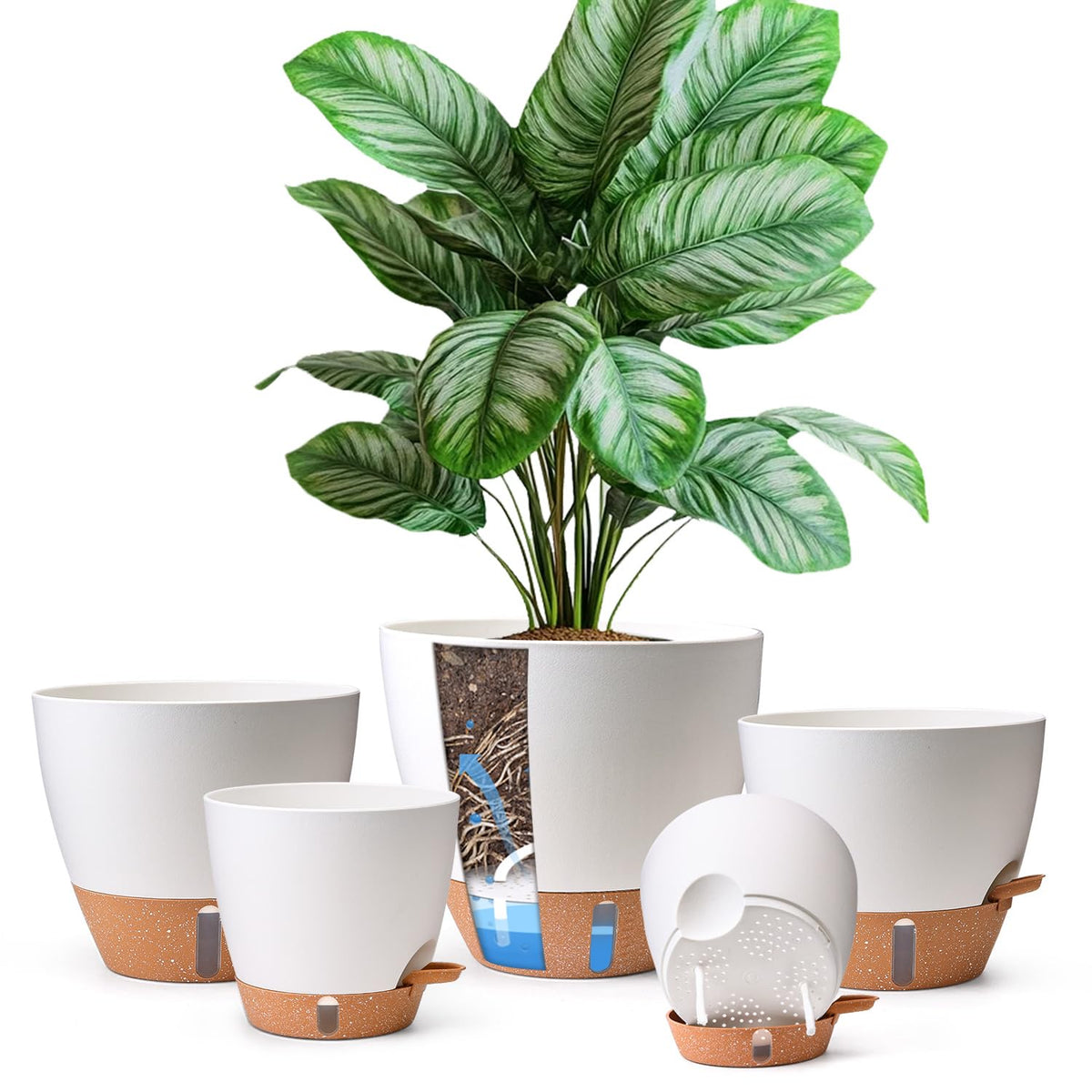T4U self-watering pot 6-inch front view with clear reservoir for easy moisture checks.