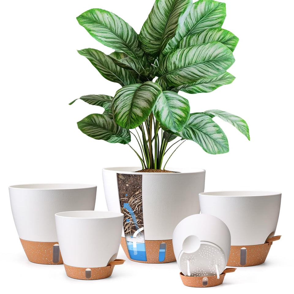 T4U self-watering pot 6-inch front view with clear reservoir for easy moisture checks.