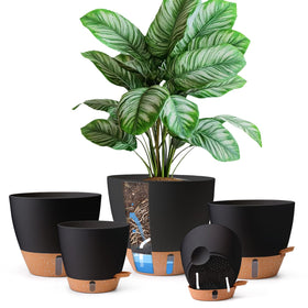 T4U self-watering pots 6-inch set in action for herbs and small plants.