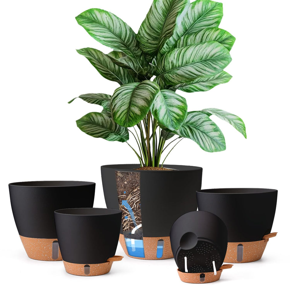 T4U self-watering pots 6-inch set in action for herbs and small plants.