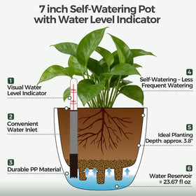 T4U self-watering pots show a visible water level indicator for easy refills.