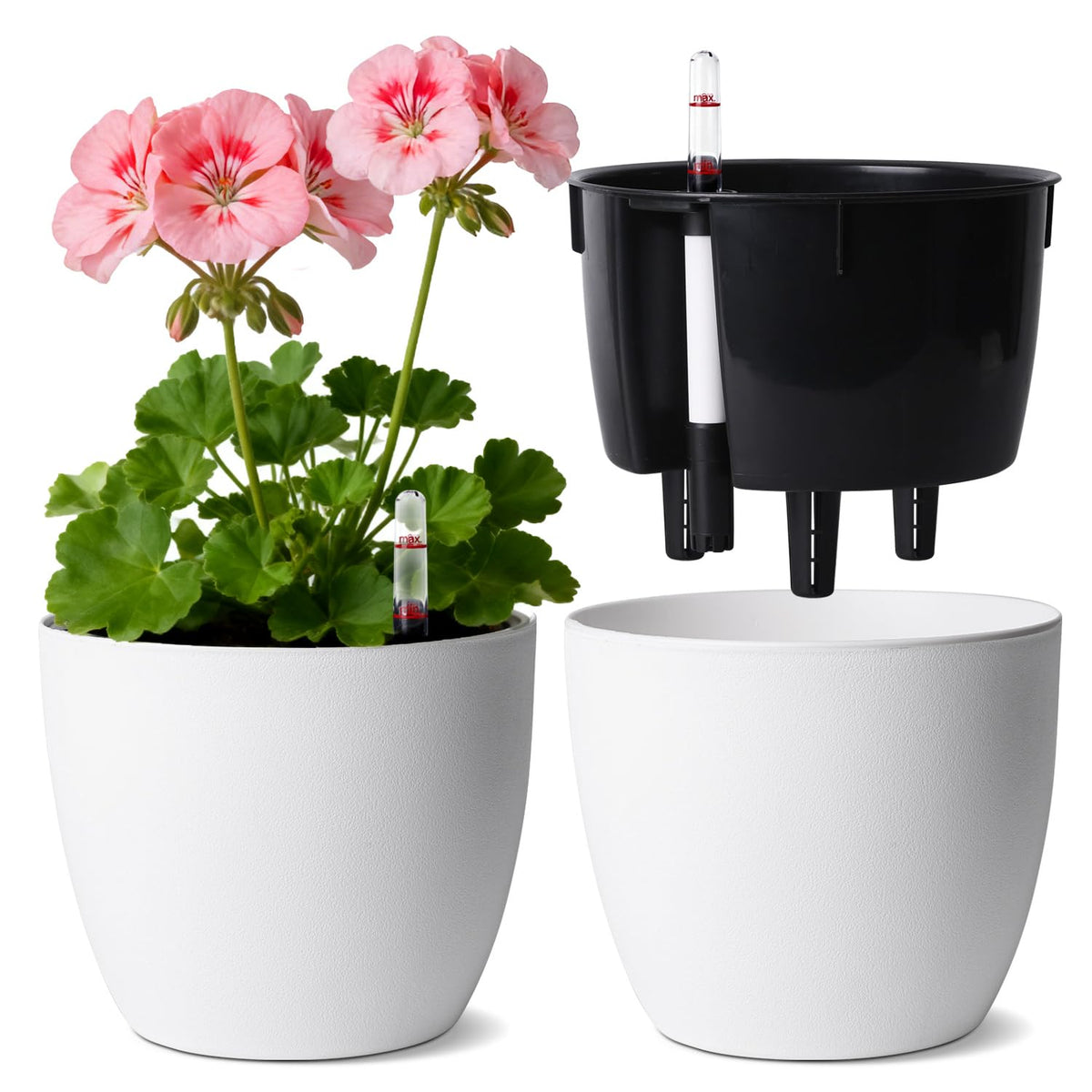 T4U self-watering pots with water reservoir ensure steady moisture for healthy roots.