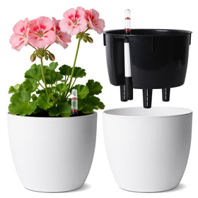 T4U self-watering pots with water reservoir ensure steady moisture for healthy roots.