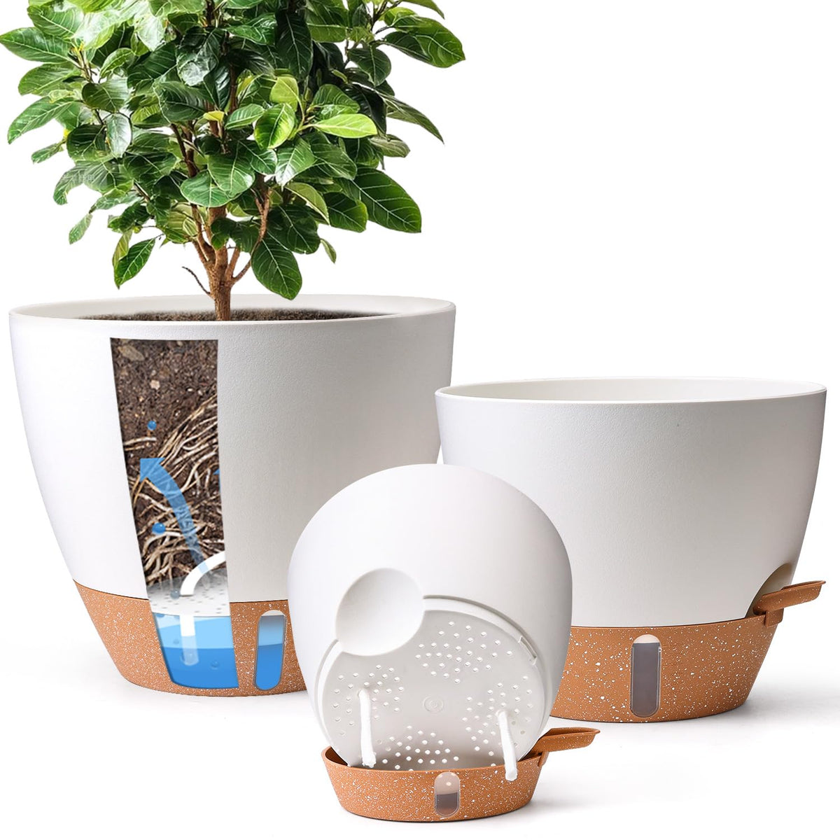 T4U 8-inch front view self-watering pot with clear water level indicator, ideal for busy plant parents.