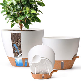 T4U 8-inch front view self-watering pot with clear water level indicator, ideal for busy plant parents.
