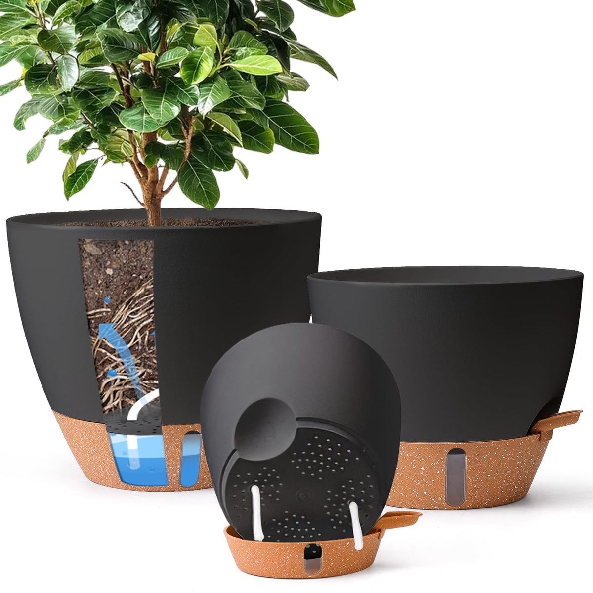 T4U self-watering pots 8-inch with water level indicator helps monitor moisture at a glance.