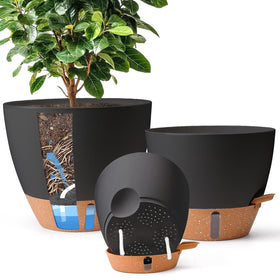 T4U self-watering pots 8-inch with water level indicator helps monitor moisture at a glance.