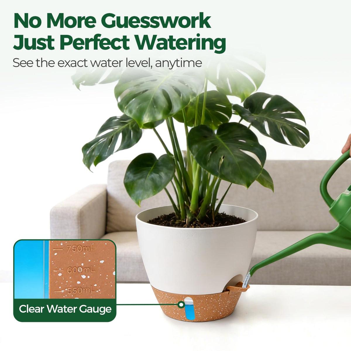T4U mixed-size set on balcony showcases cohesive decor and easy hydration.