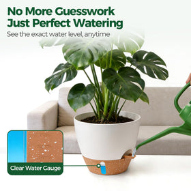T4U mixed-size set on balcony showcases cohesive decor and easy hydration.