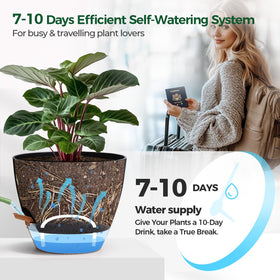 T4U side-fill port demonstrates quick refilling without moving plants.