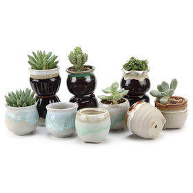 T4U small ceramic succulent pot set of 12 with drainage, perfect for stylish windowsills.