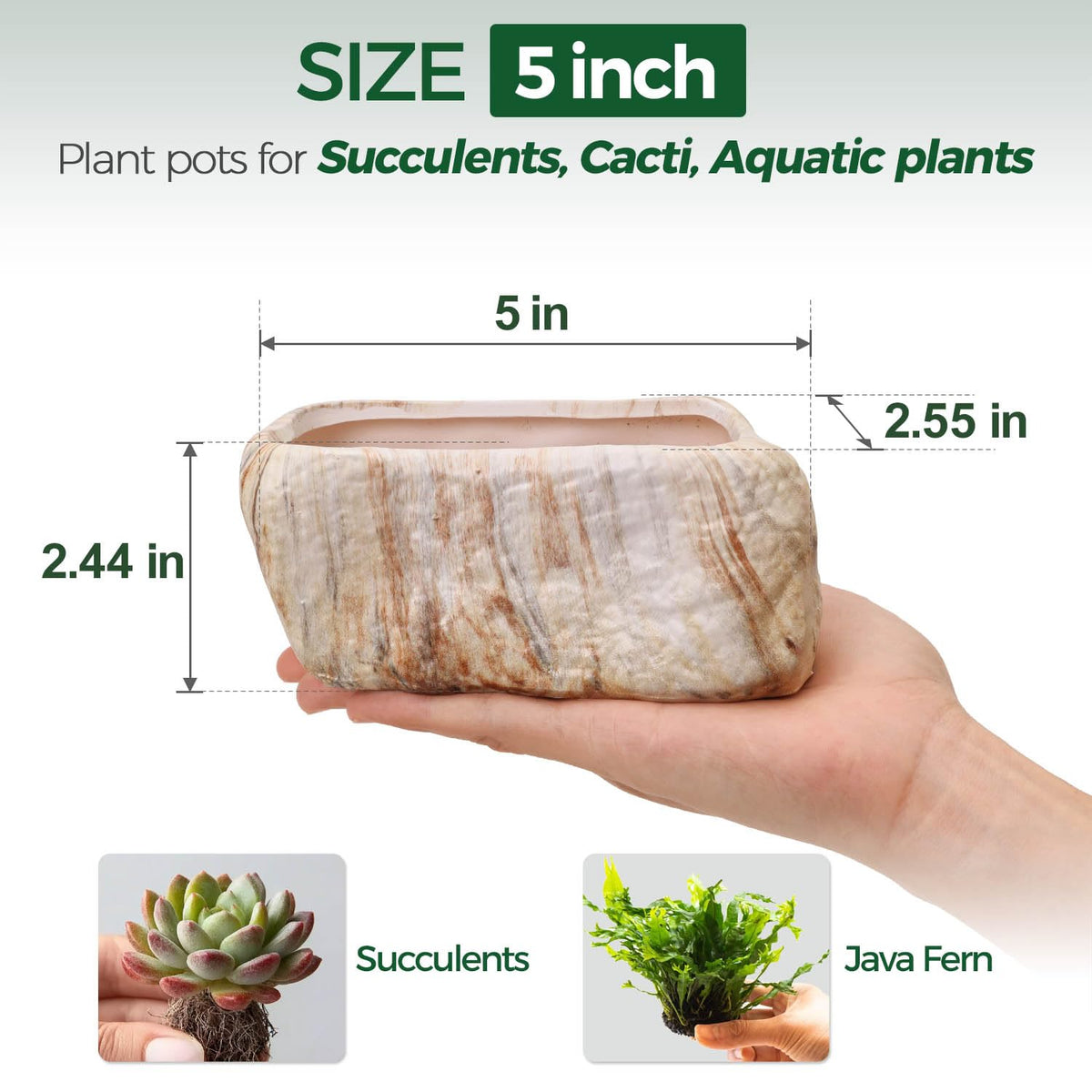 T4U stone-shape porcelain pot showcases artisanal craftsmanship for stylish decor