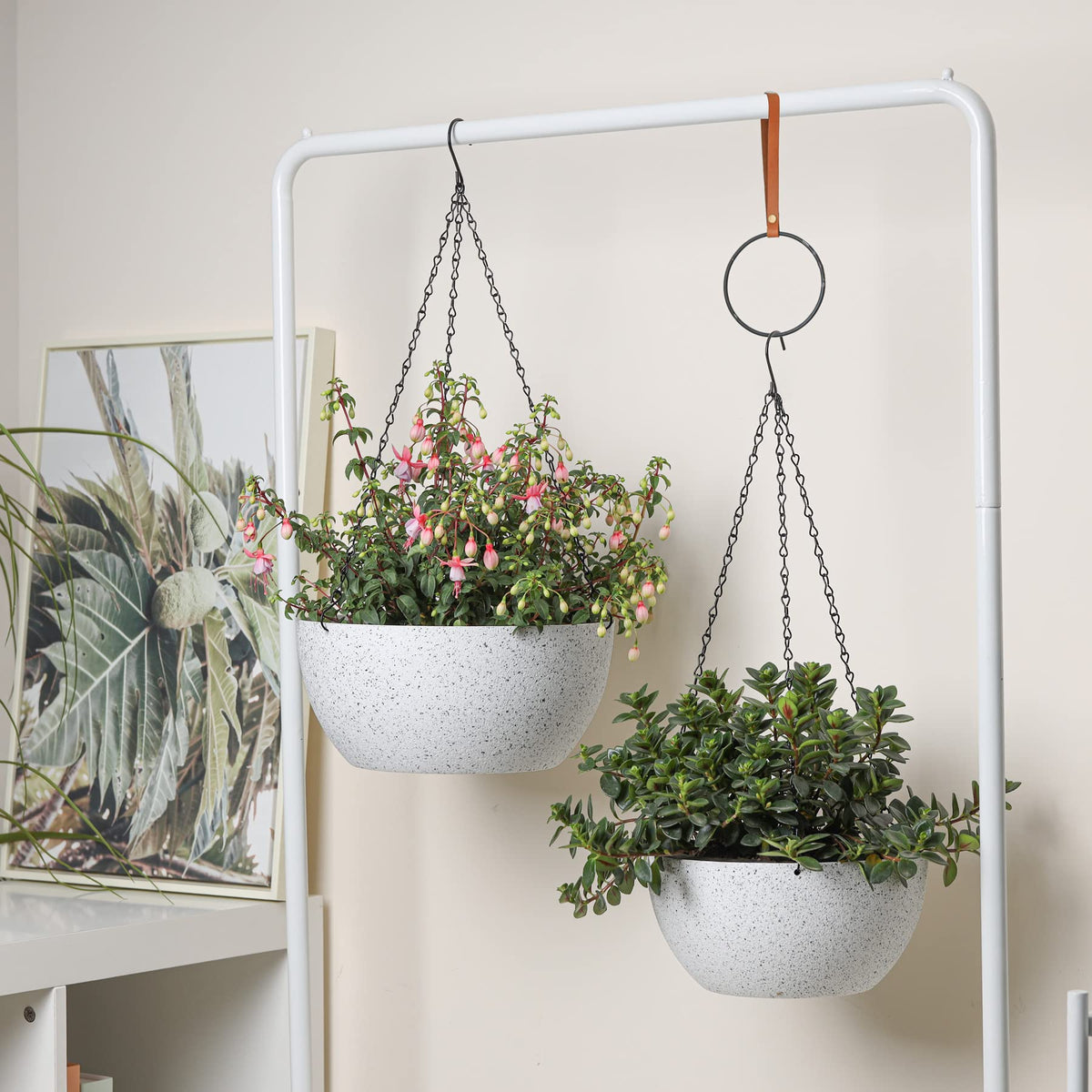 T4U planter suitable for succulents, ferns, ivy and decorative greens.