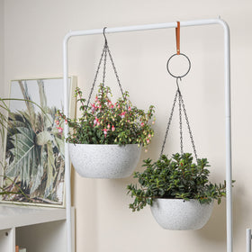 T4U planter suitable for succulents, ferns, ivy and decorative greens.