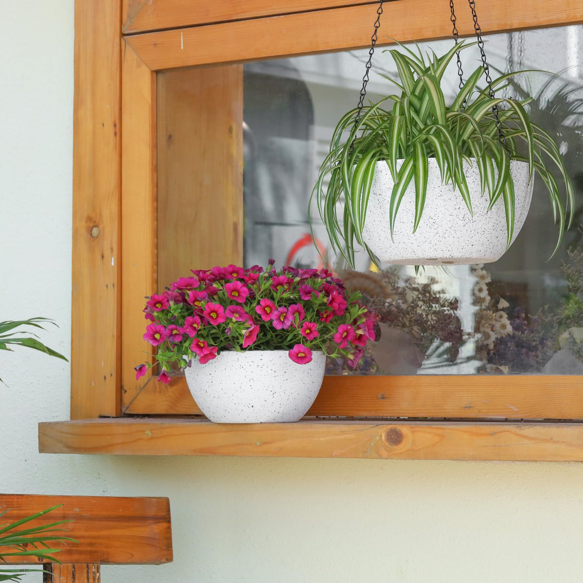 T4U display for succulents, ferns and ivy to enhance home garden.