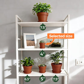 T4U pot for succulent displays and compact plant groupings.