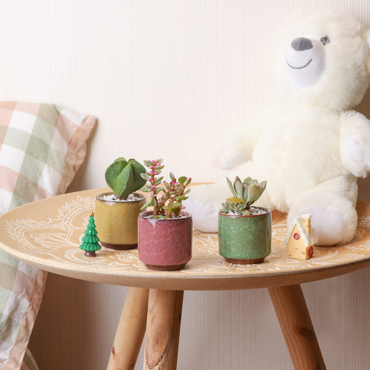 T4U ice crack glaze pot adds premium texture to small cactus displays