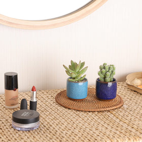 T4U set of 12 provides versatile pairings with tiny succulents