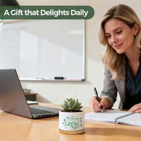 T4U compact ceramic pot keeps desks tidy with greenery.