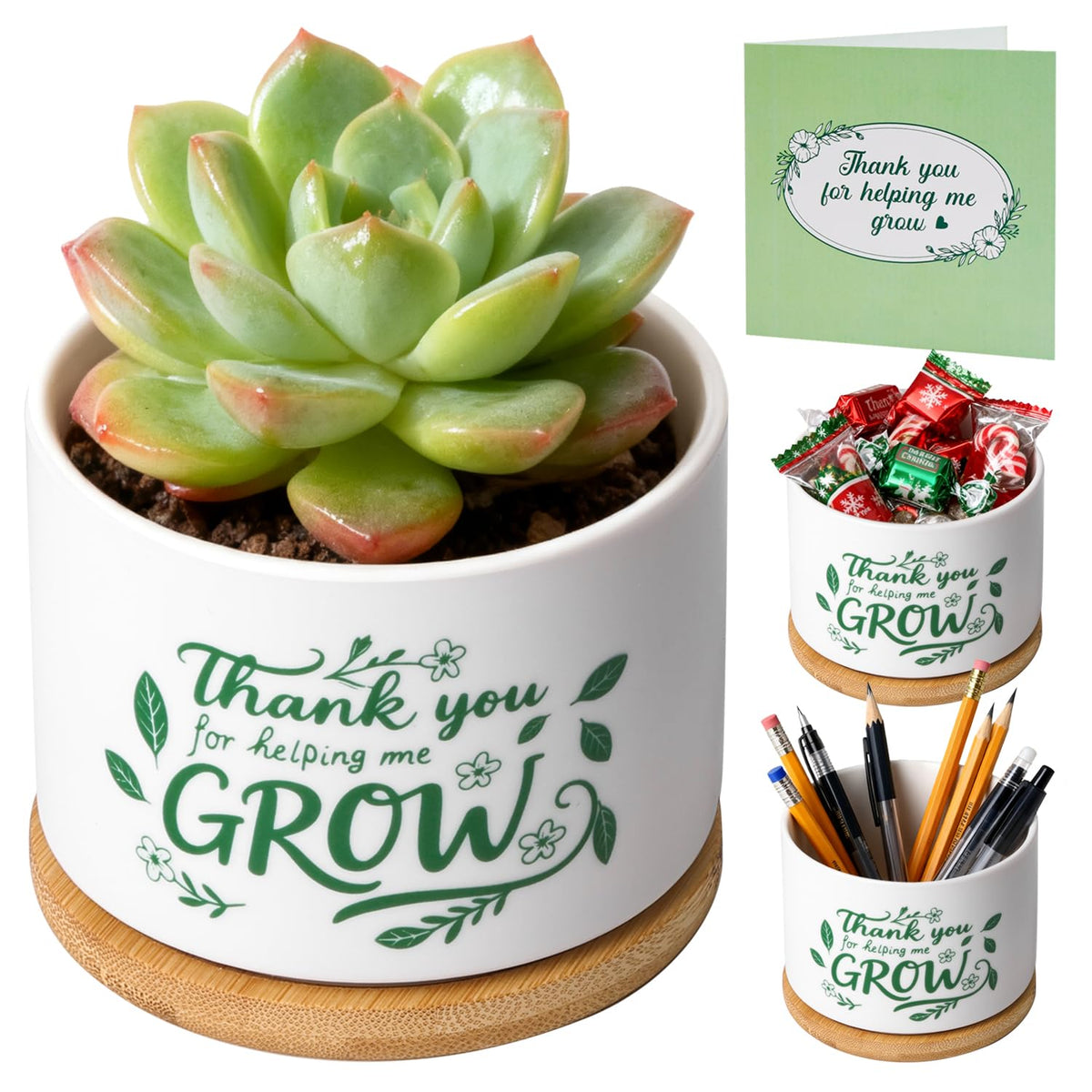 T4U mini succulent pot for teachers, a thoughtful, low-maintenance desk companion.