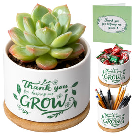 T4U mini succulent pot for teachers, a thoughtful, low-maintenance desk companion.